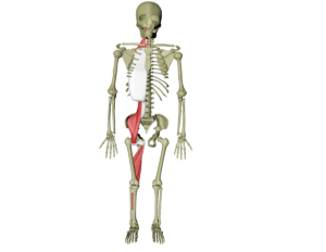 Dyp frontlinje 1.png Dyp frontlinje 1.png
