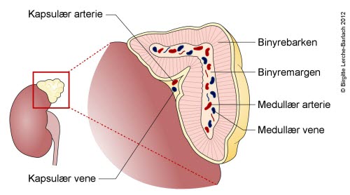 Binyre