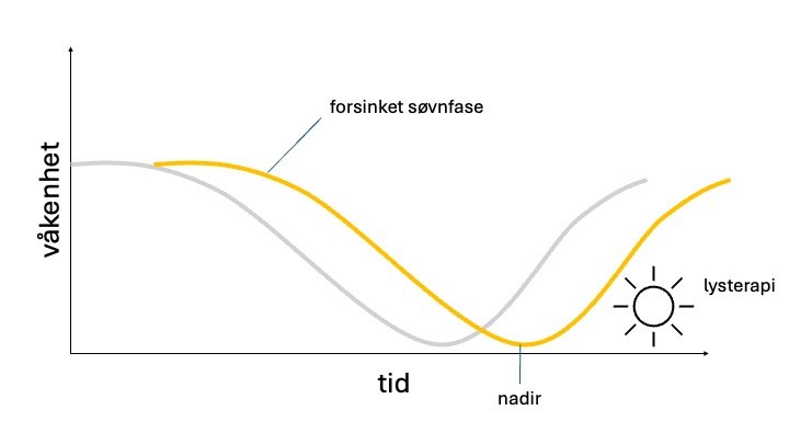 figur som illustrerer forsinket søvnfase og når lys skal tas