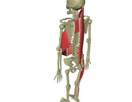 Spiral linje 4.png Spiral linje 4.png