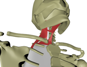 Dyp frontlinje 4.png Dyp frontlinje 4.png