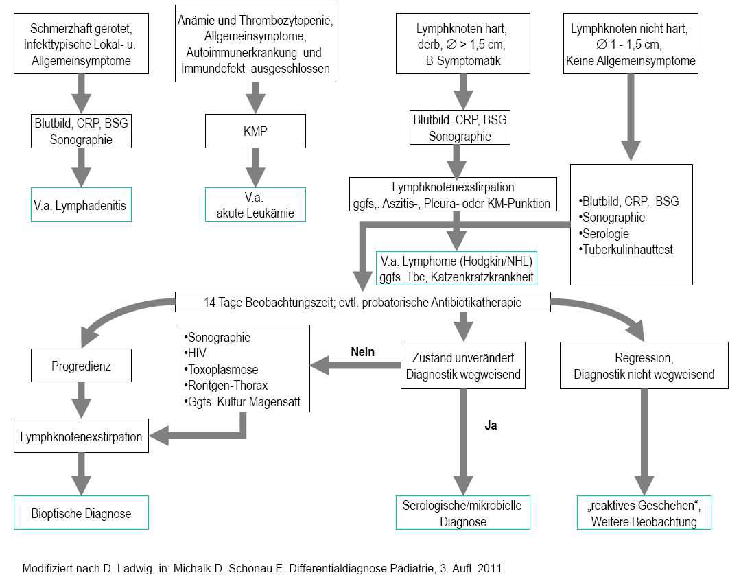 Lymphadenopathie.png