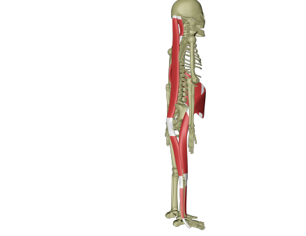 Spiral linje 3.png Spiral linje 3.png