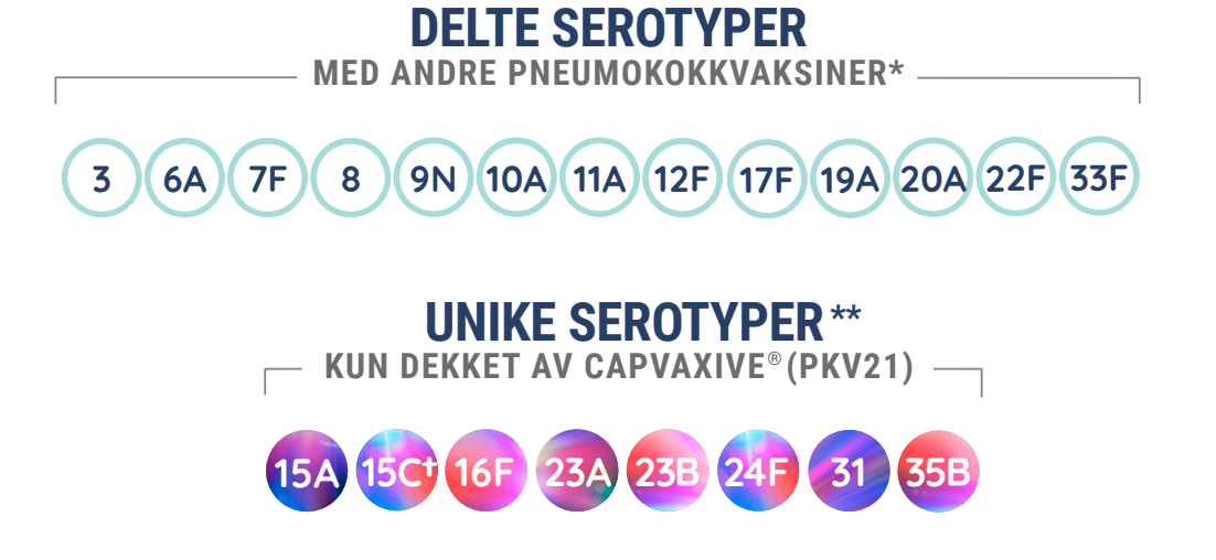 Illustrasjonen viser serotypene til Capvaxive
