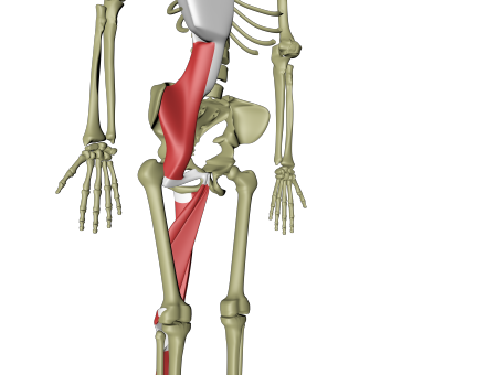 Dyp frontlinje 6.png Dyp frontlinje 6.png