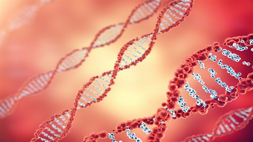 Dobbeltrådet DNA.jpg