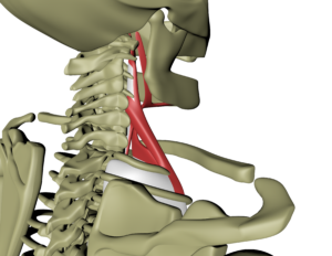 Dyp frontlinje 3.png Dyp frontlinje 3.png