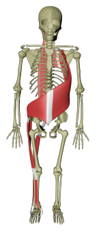 Spiral linje 1.png Spiral linje 1.png