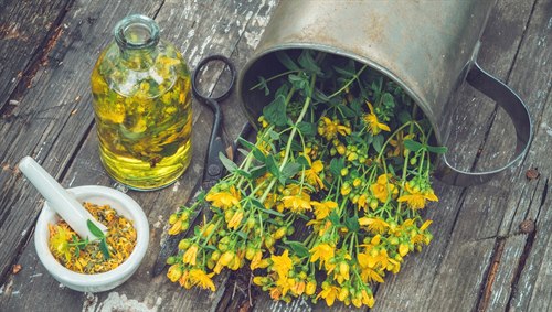 Illustrasjonsfotoet viser Johannesurt i en flaske, i en bøtte og i en skål