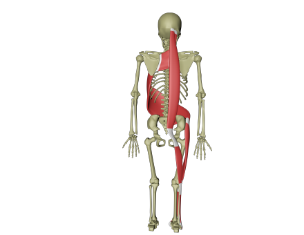 Spiral linje 2.png Spiral linje 2.png